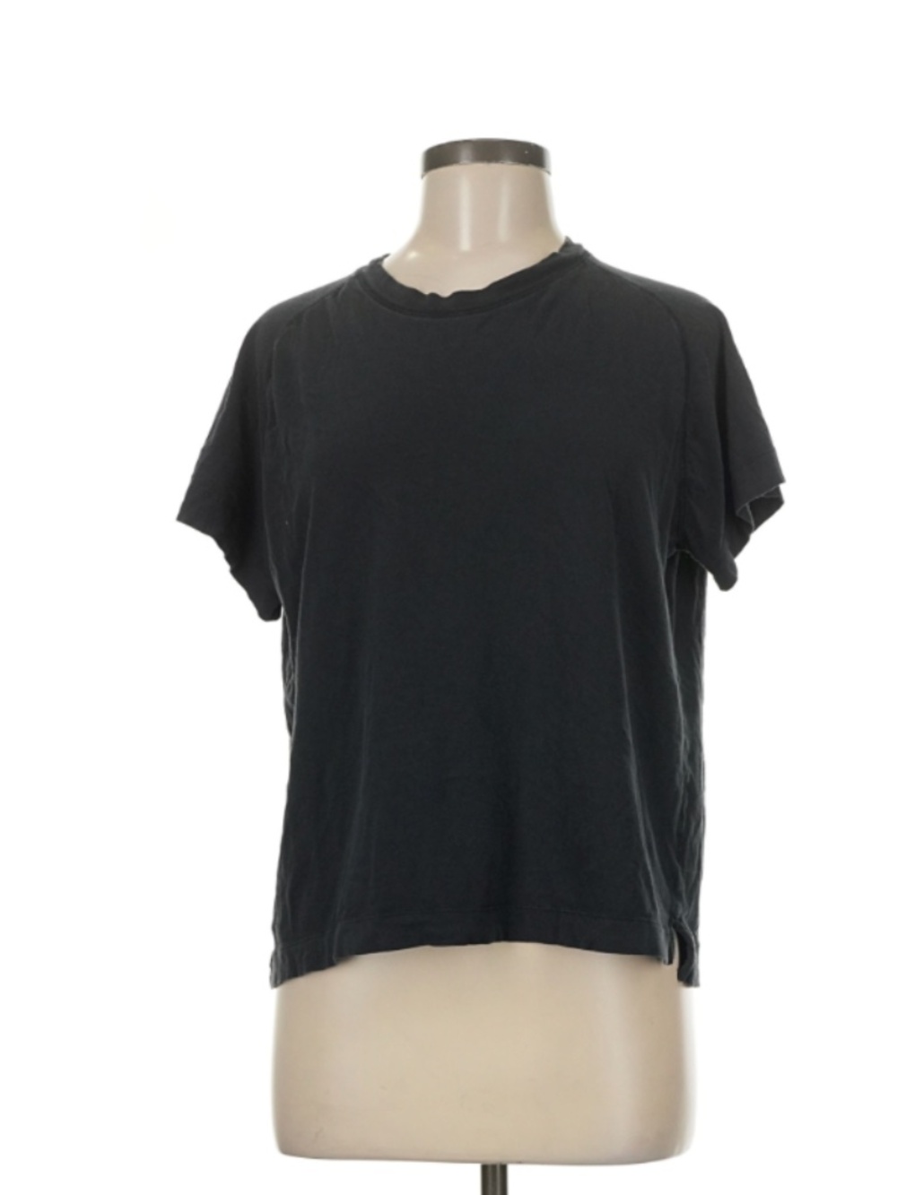 Everlane Size M Short Sleeve T-shirt